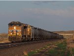 UP 2531